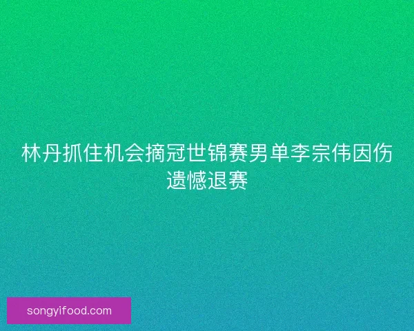 林丹抓住机会摘冠世锦赛男单李宗伟因伤遗憾退赛
